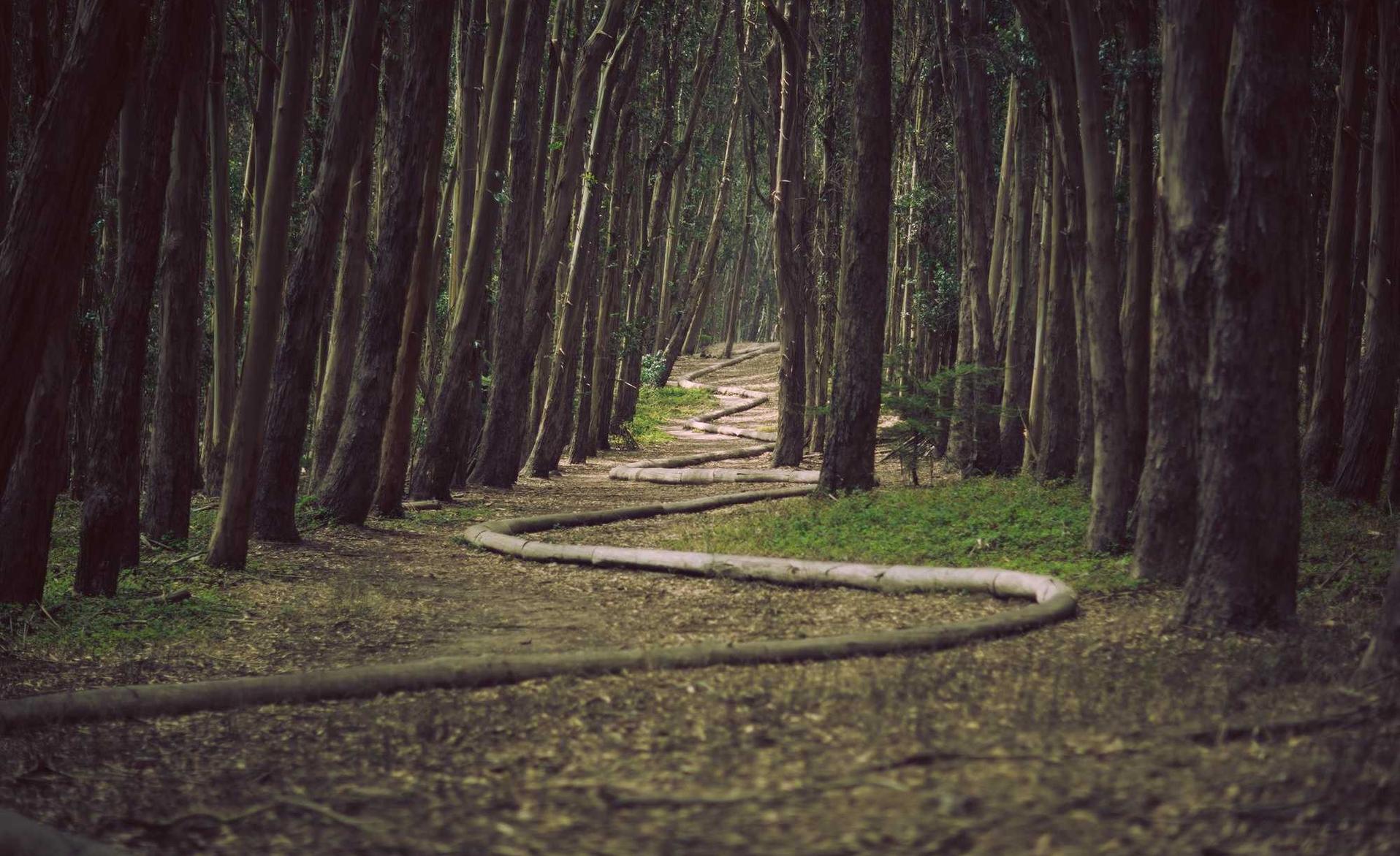 话费流量平台代理加盟