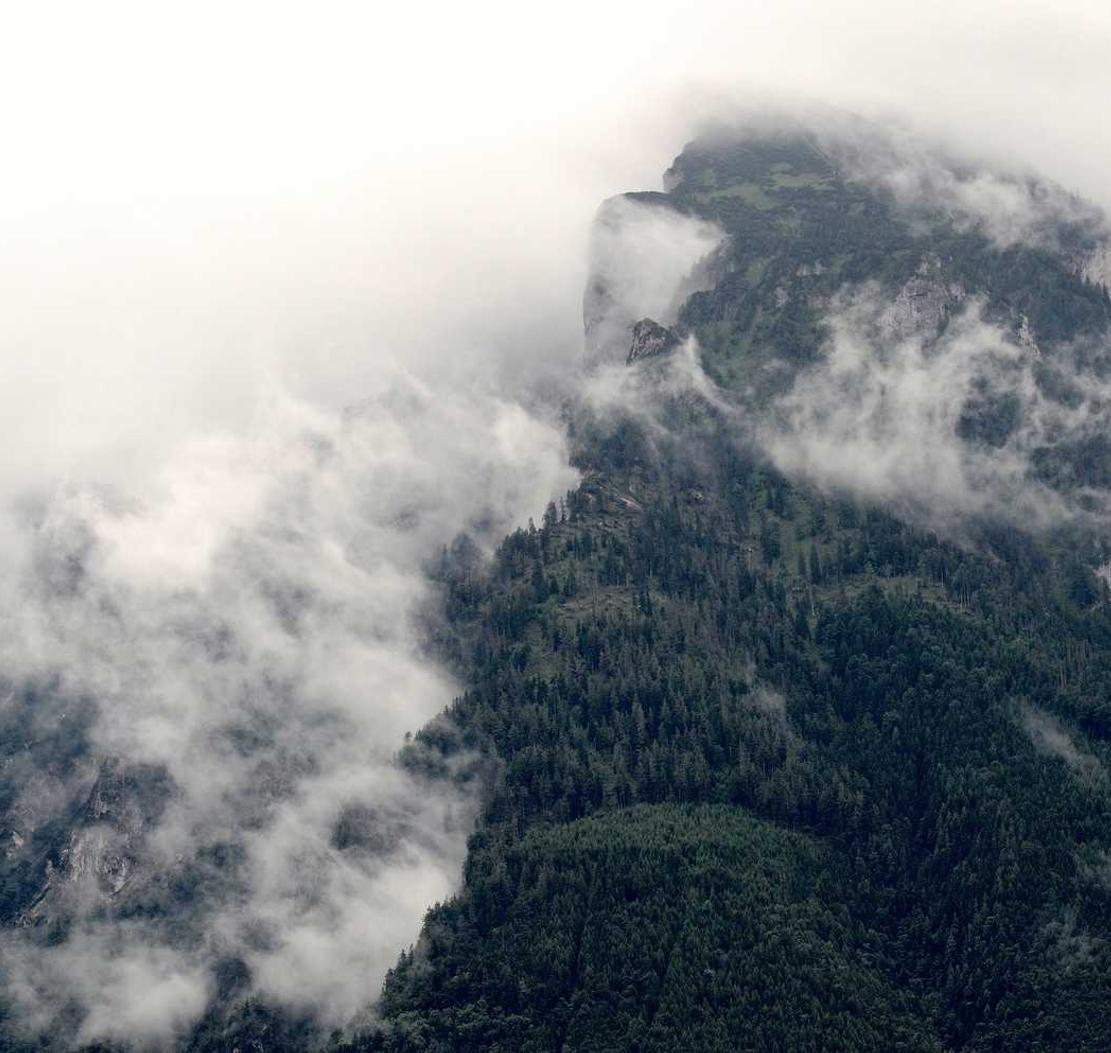 通过社交媒体的营销来增加品牌的认知度