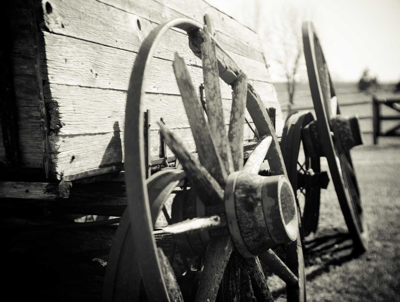 航海王：燃烧意志：抖音平台怎么购买流量包