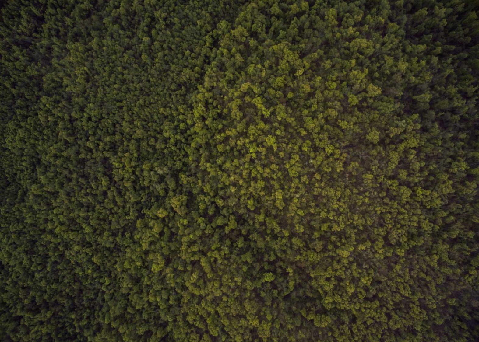 百达娱乐，注册|代理注册英国商标