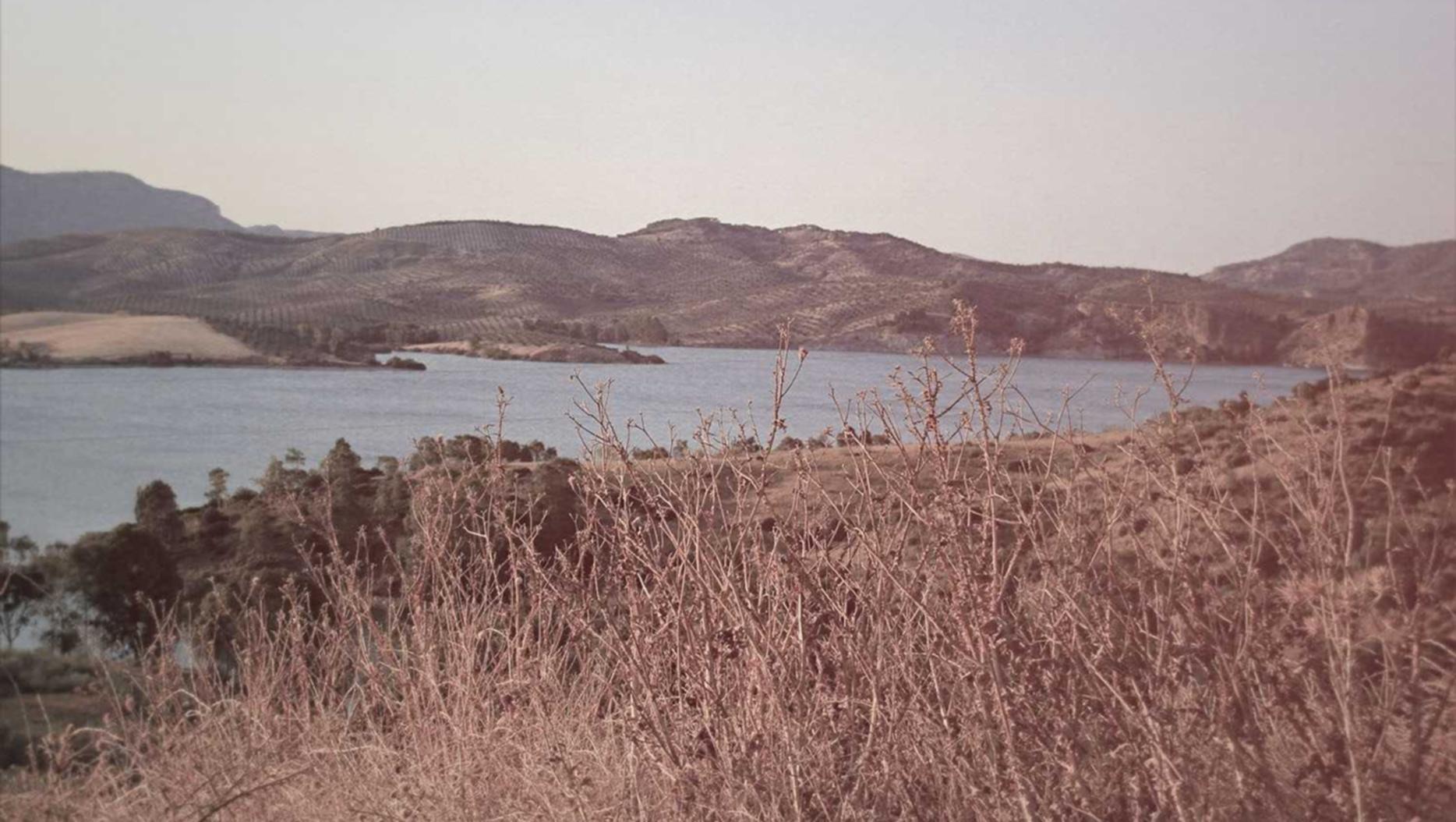 分享通信实名账号：进口烟购买平台