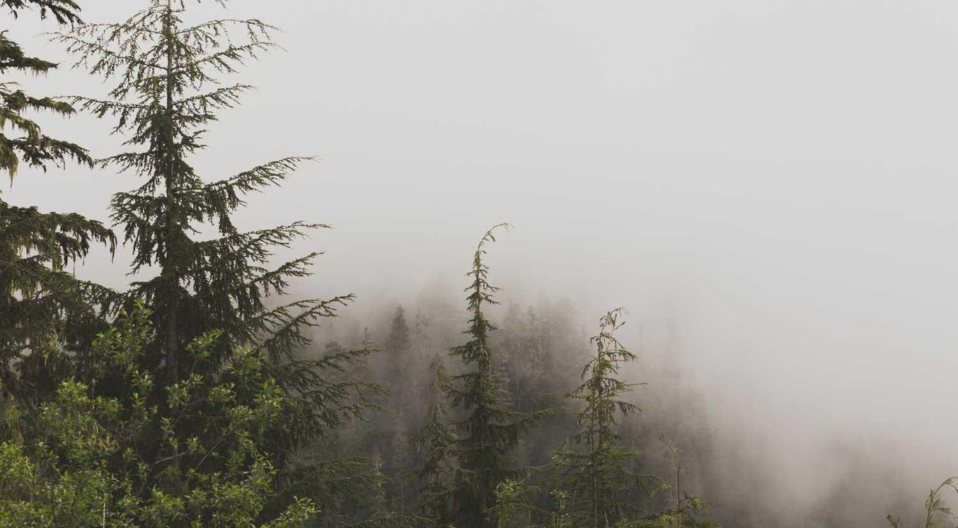 NBA2K OL：代理记账拓客平台