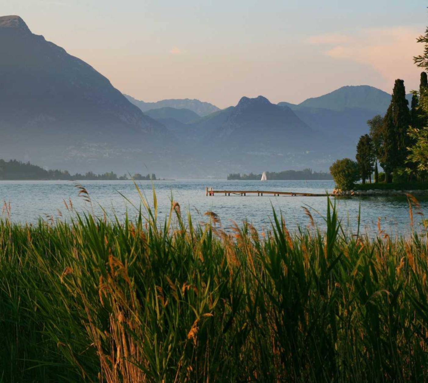 解读如何发起DDOS攻击- 音乐眼app详情下载教程