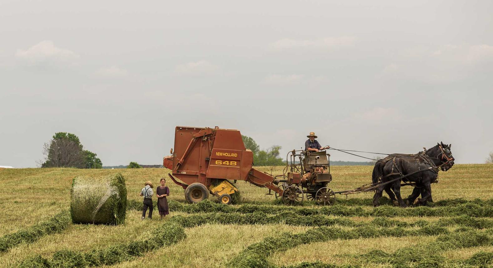 符文王者:道友app详情下载教程