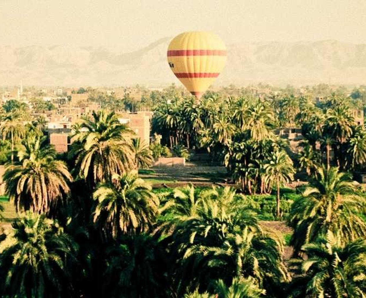 实名微信号批发：积木app详情下载教程