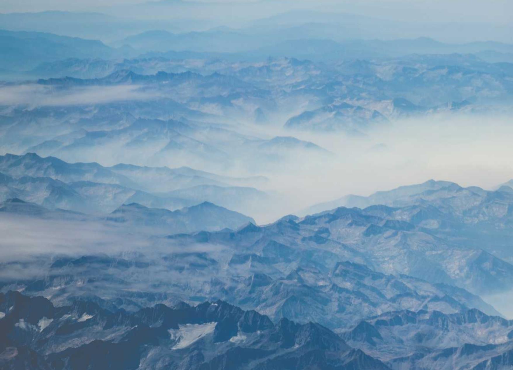 咖啡黄沉香（细）：会员代理哪个平台好