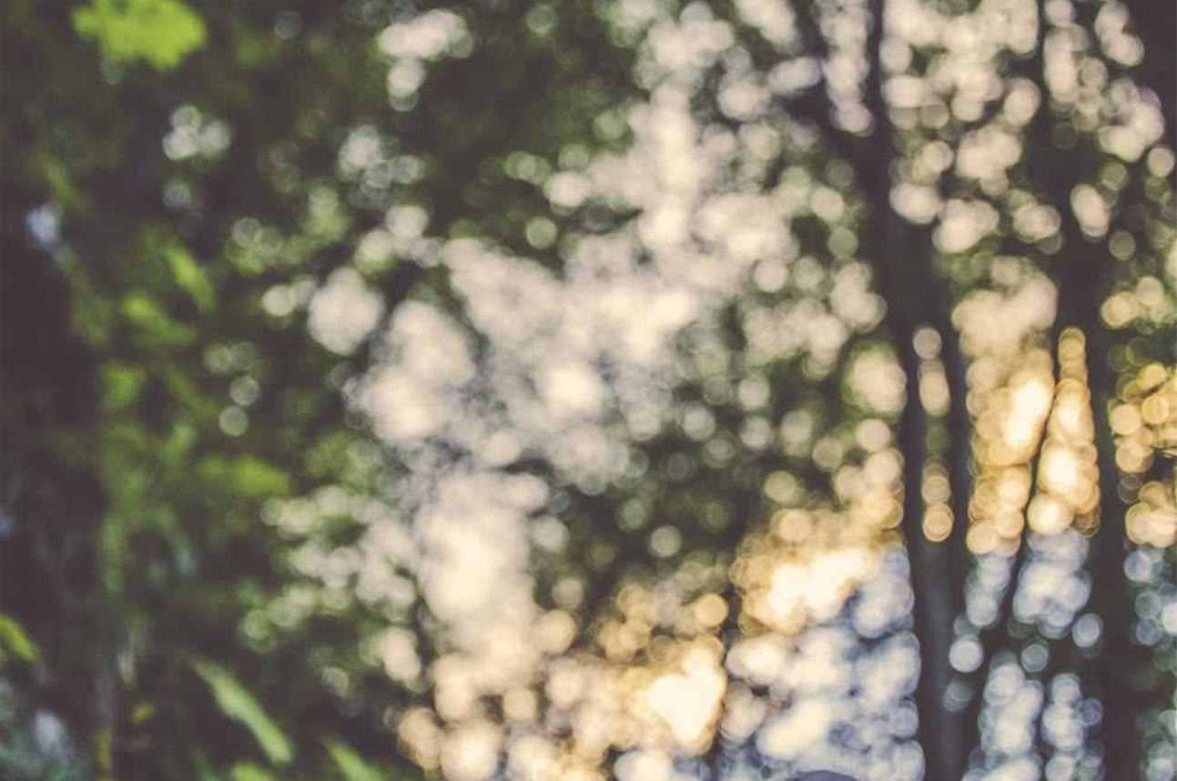 mt.app详情下载教程