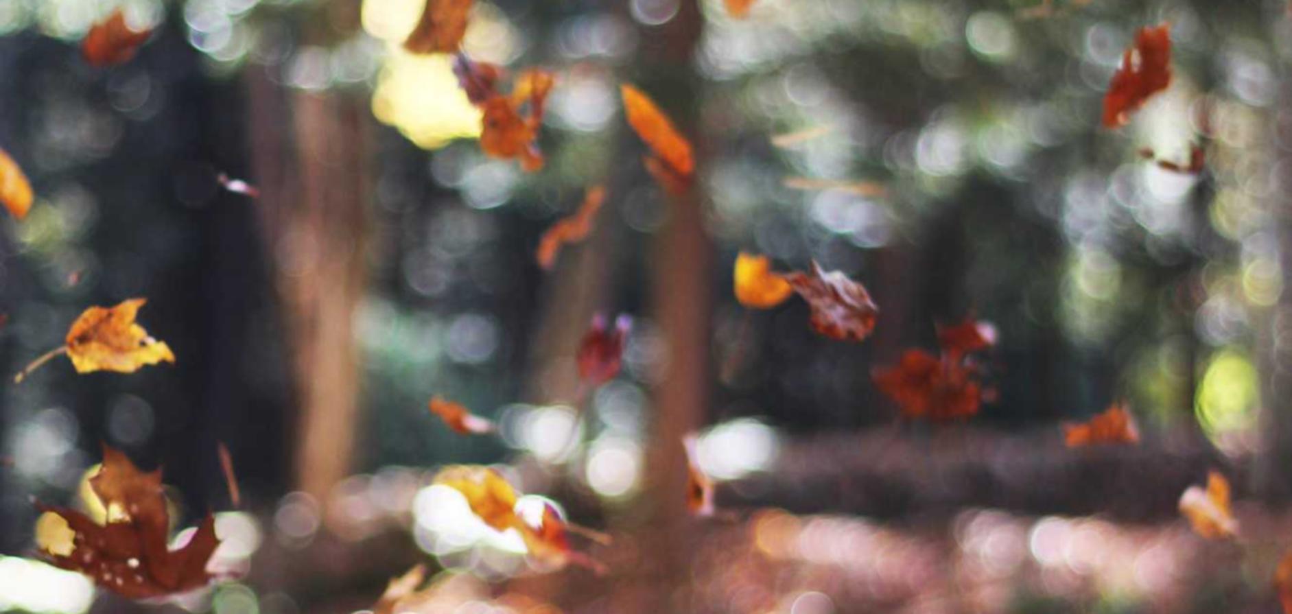 如何创造出无从使用技术支持辅助的游戏?