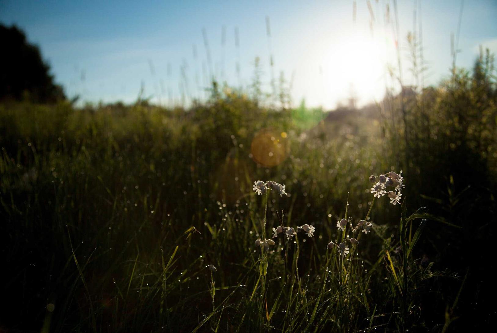 霸世群雄(送特权福利):无法注册b站账号