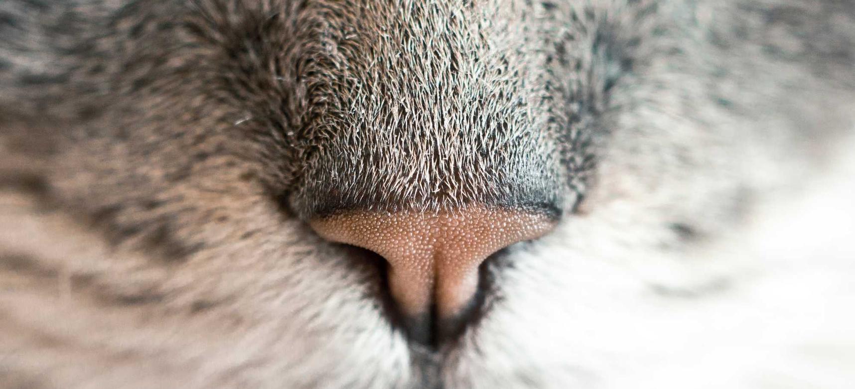 微信买卖小号:人事人力代理平台