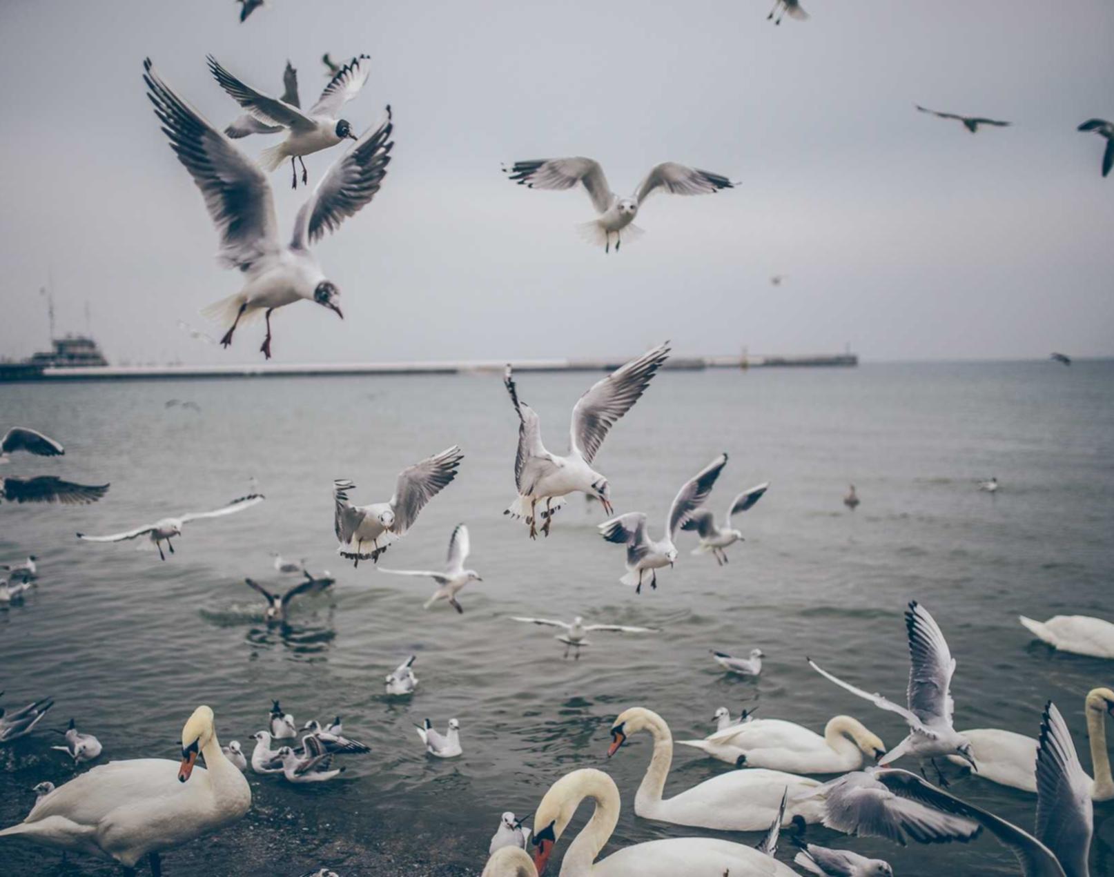 香烟的好处有哪些?