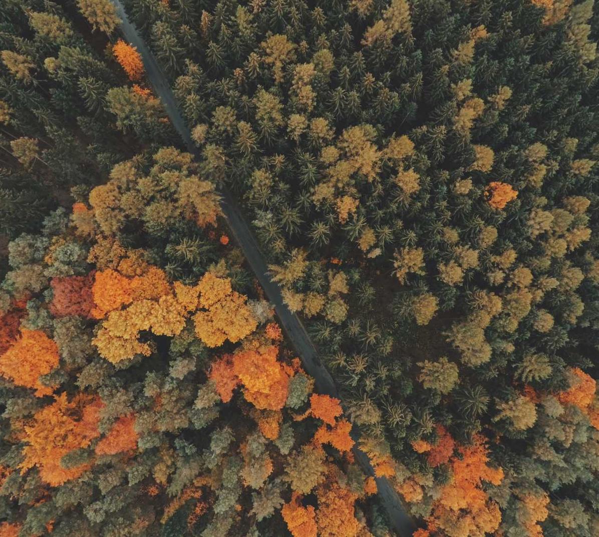 如何保障游戏玩家的权益,防范技术支持