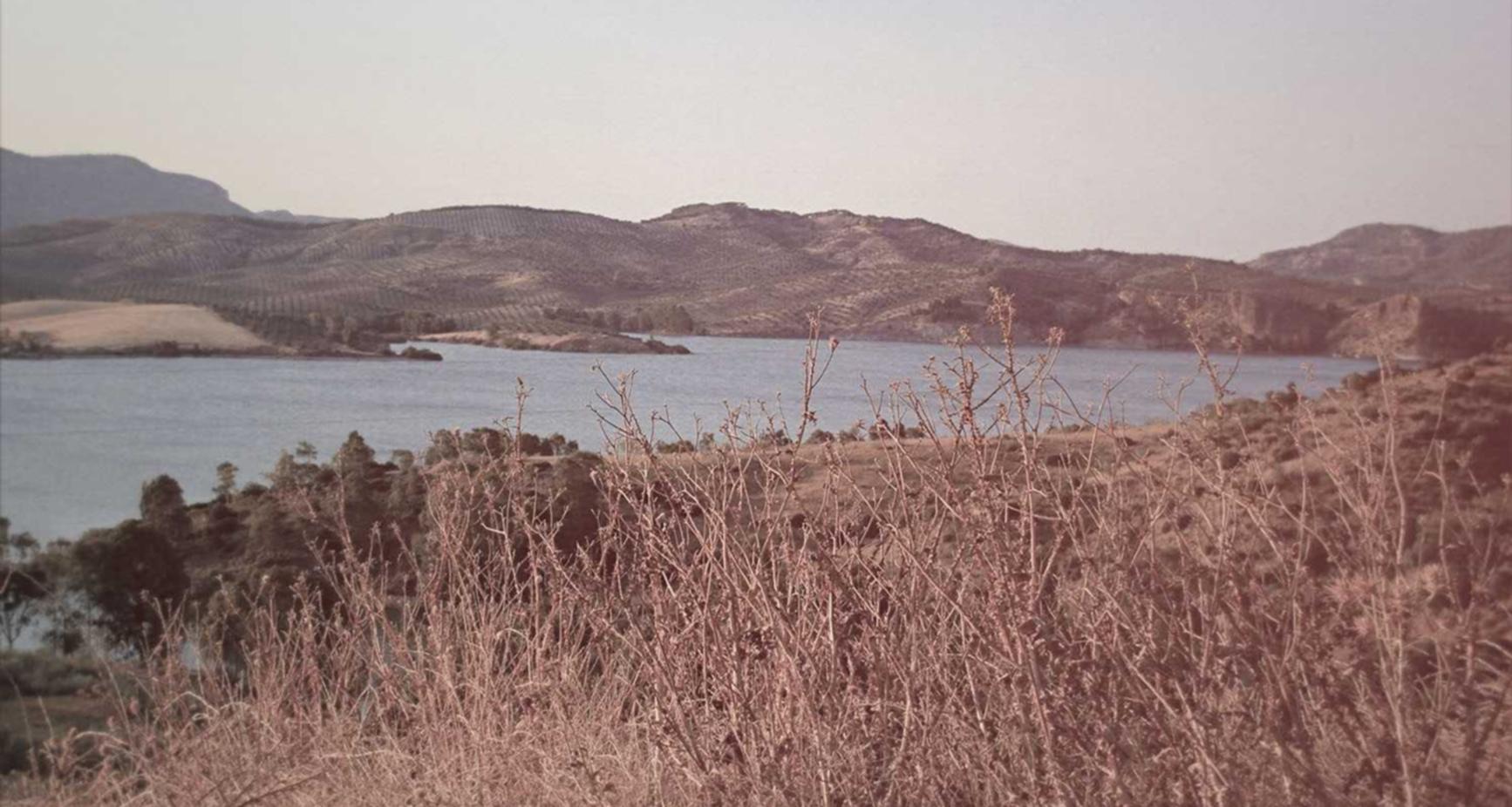 炸房器|注册租赁公司代理