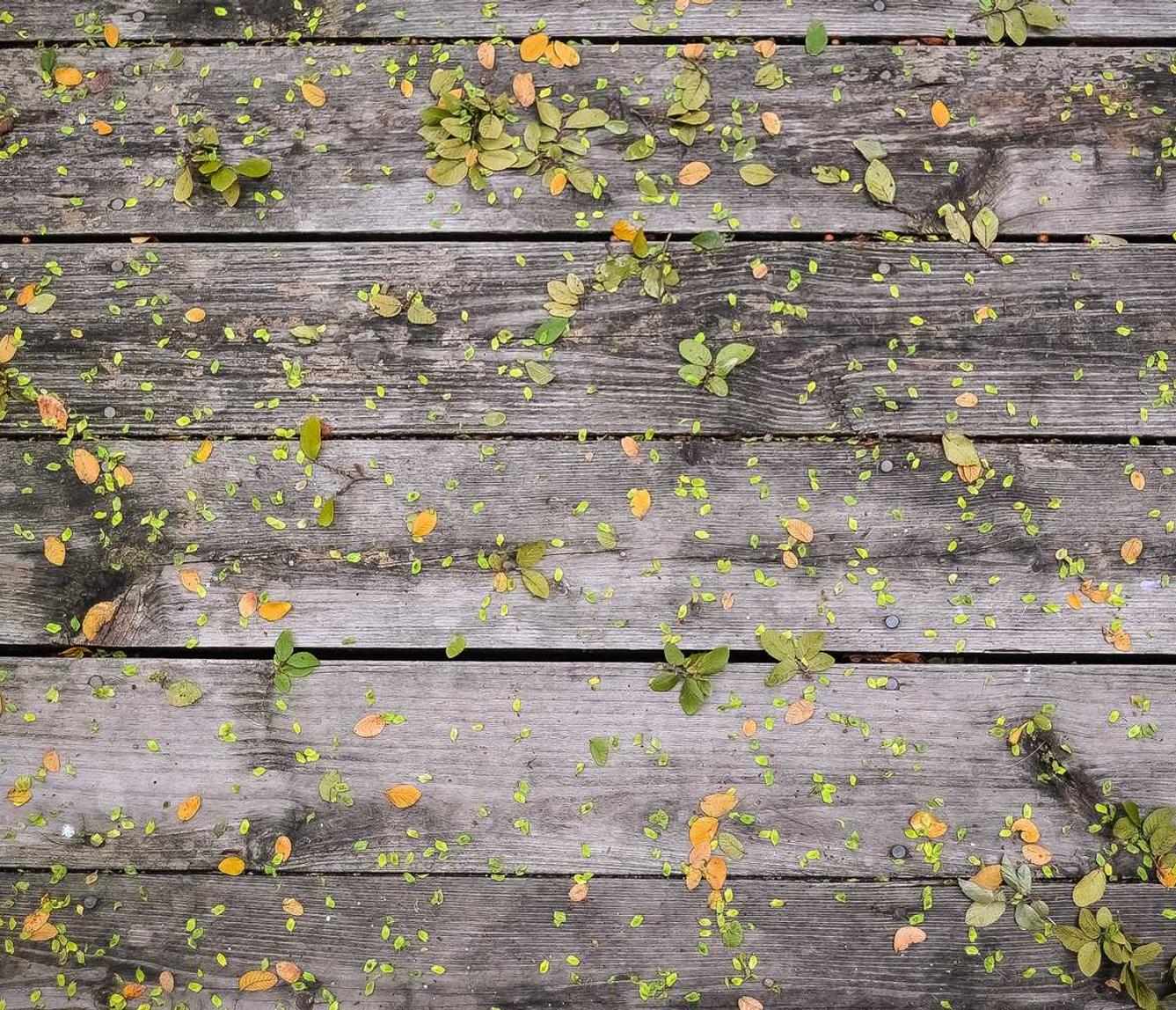 是否存在受保护吸烟区域？