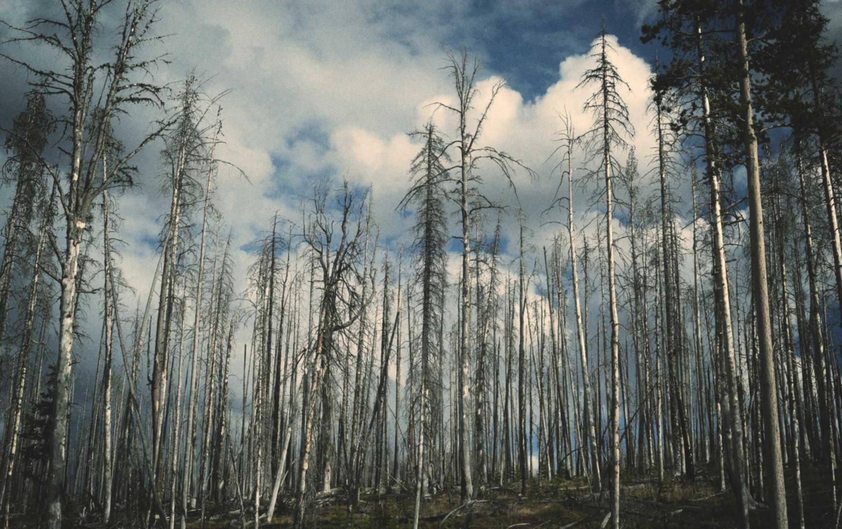 爱用云实名账号:fitstar详情下载教程app