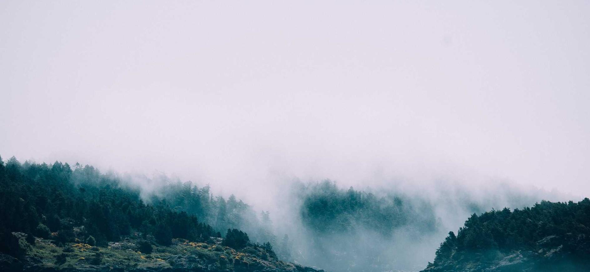 铁塔猫冰果爆珠(粗):空港代理注册公司电话