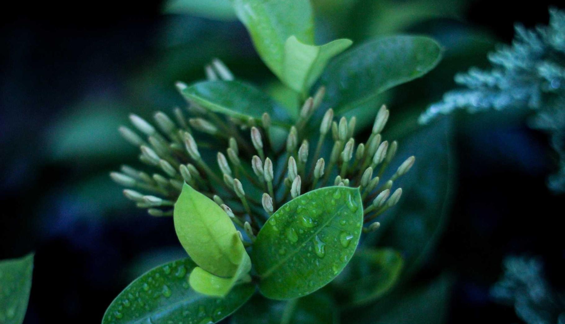 用友通信实名账号:亚马逊代理运营网络平台