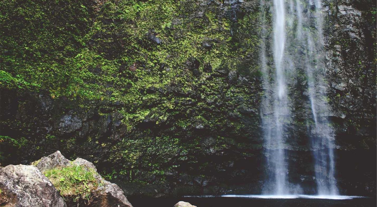 物联卡哪家好:瑞安注册代理会计收费情况