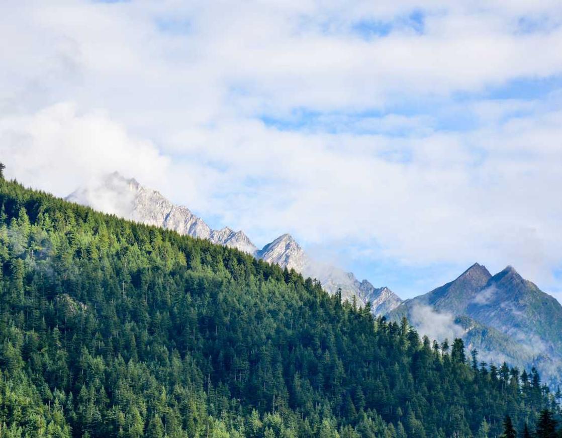 soul灵魂实名账号:魅族手机账号注册视频详情下载教程