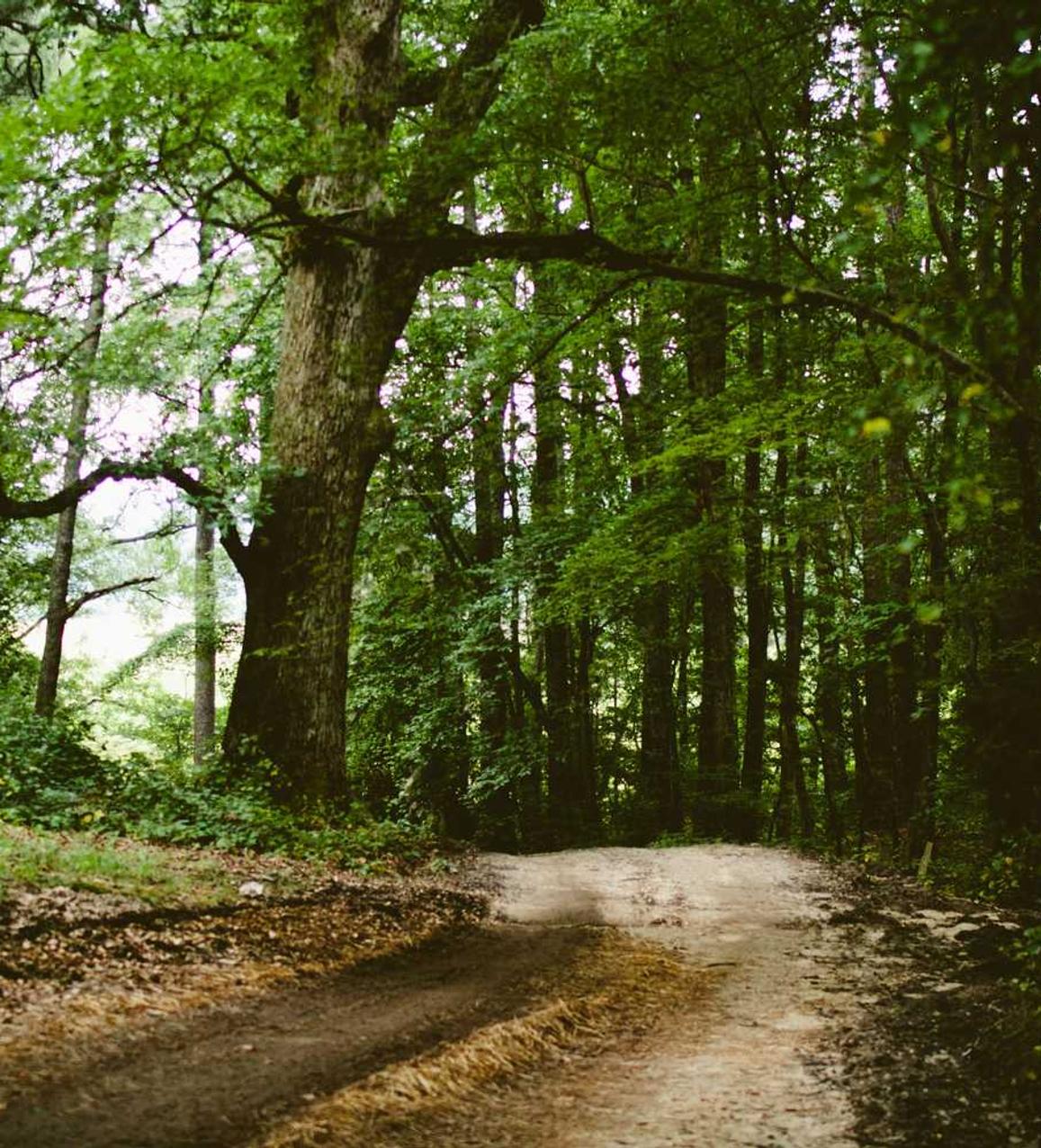 星美通信实名账号:舟山内资公司注册代理热线