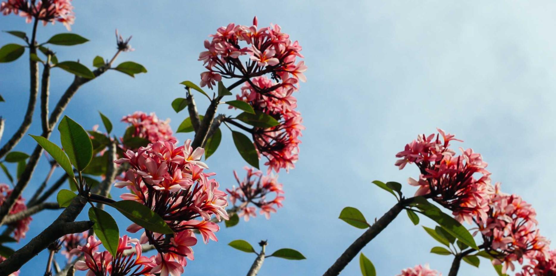 DDOS接单平台|购买药品信息平台网址