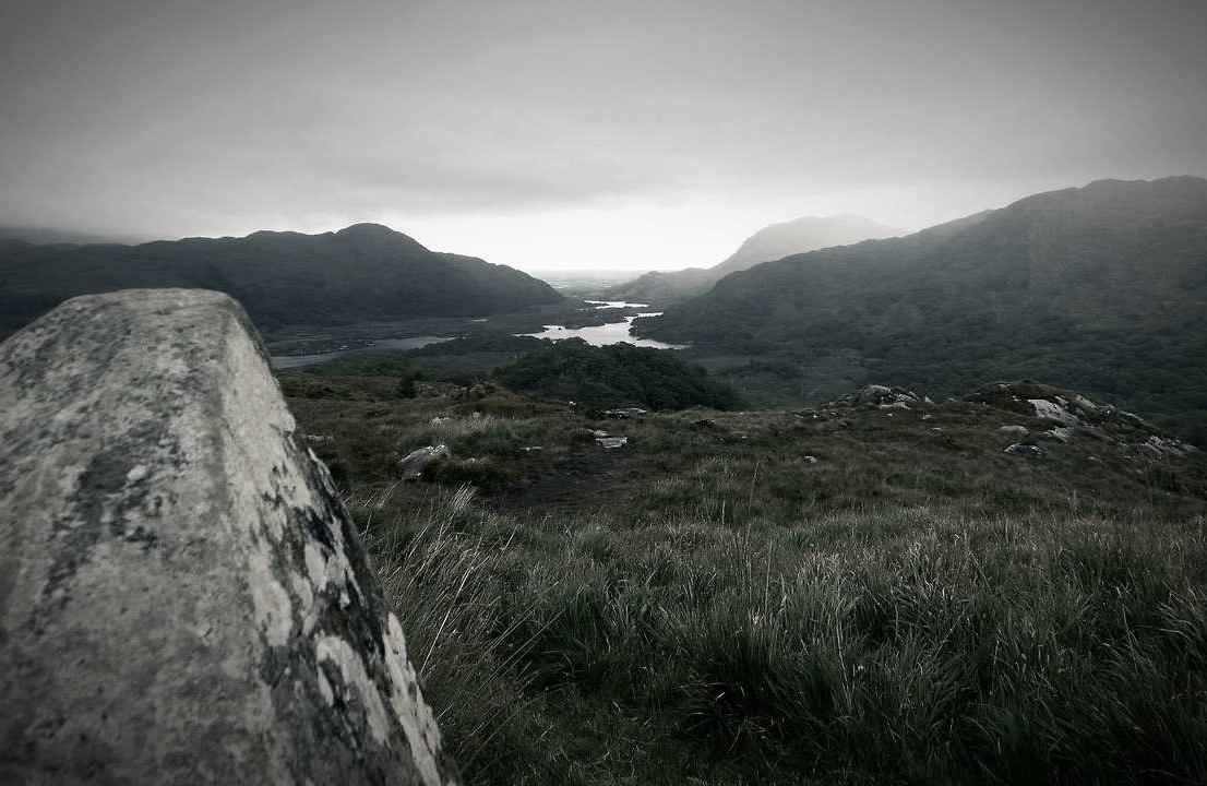 斗鱼 实名账号:通信达炒股软件详情下载教程app