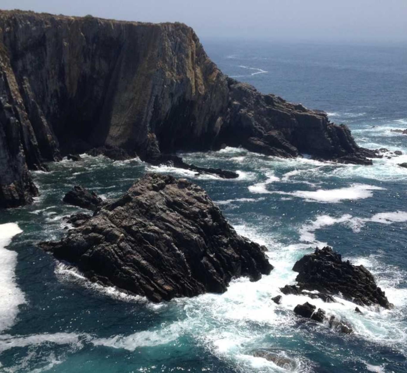 cc网页端|购买监控的平台