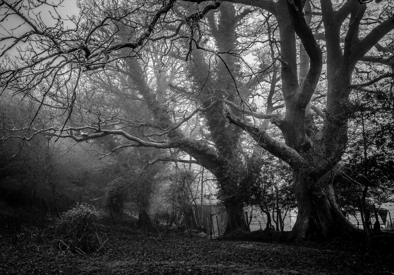 网易手机卡实名账号:为什么要抖音企业账号注册