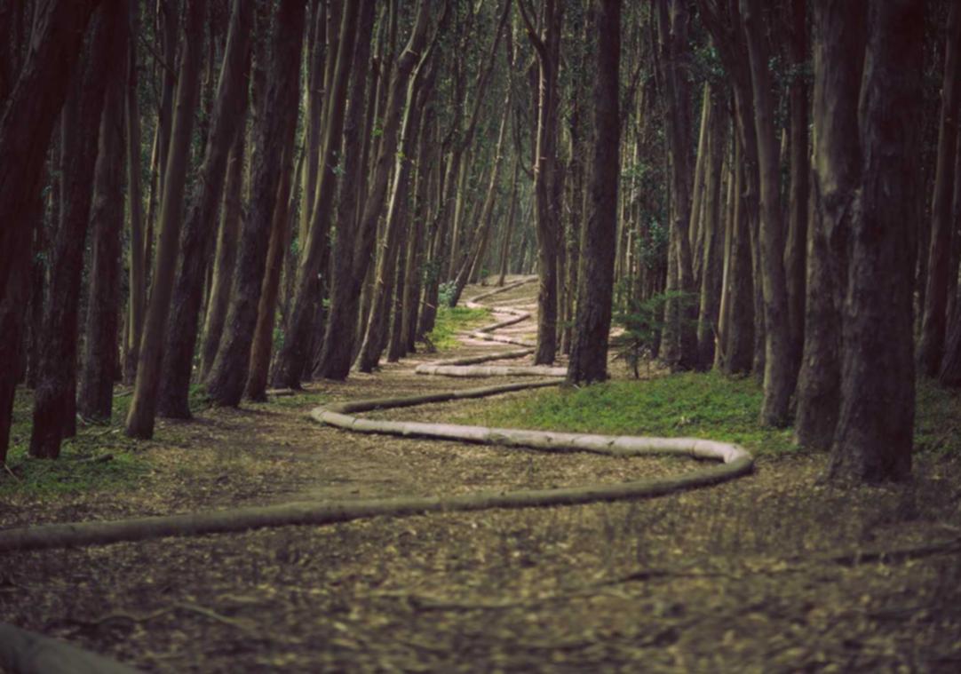 恩佐2提供客户价值的一些方法