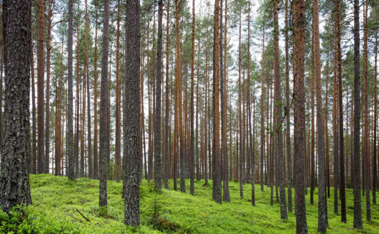 欧盟蓝色555:东方财富账号注册时间查询