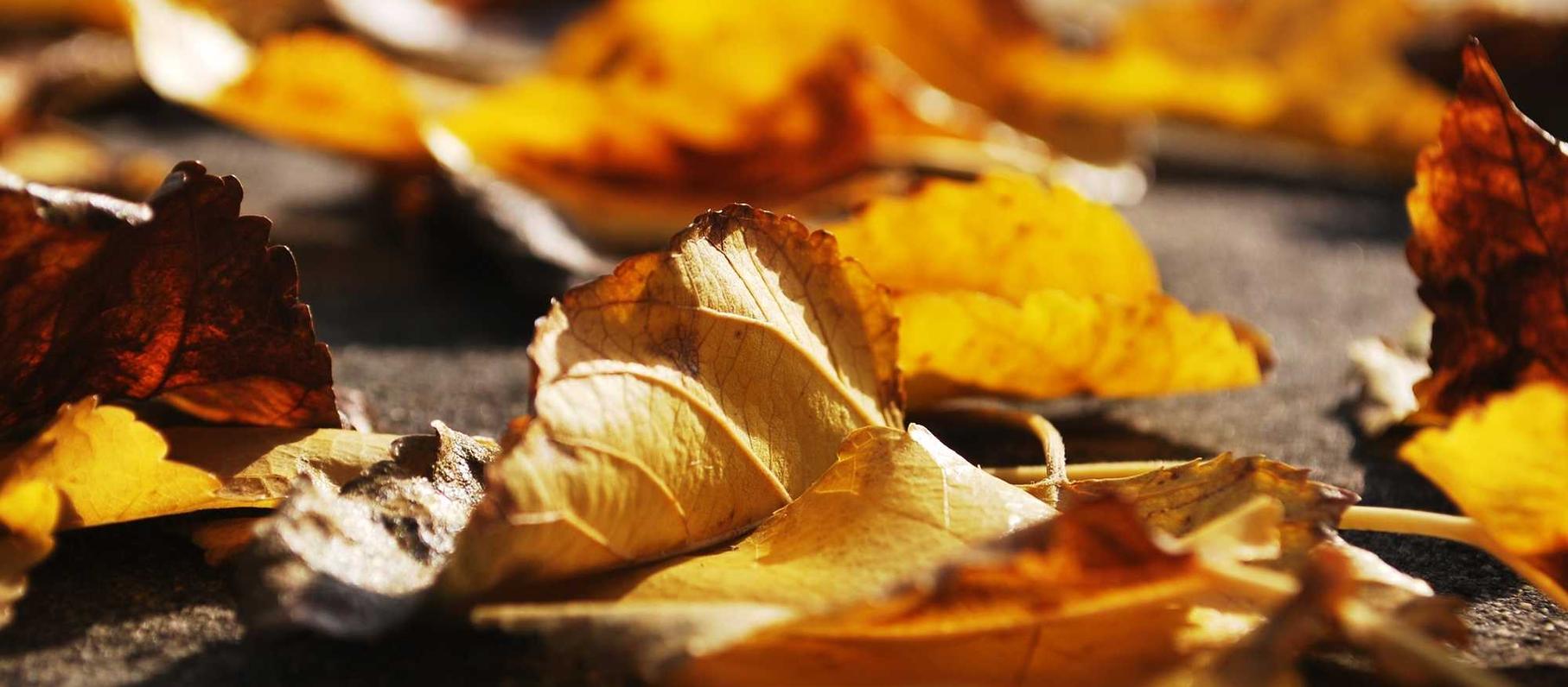 买卖微信号码:信贷经理平台开户