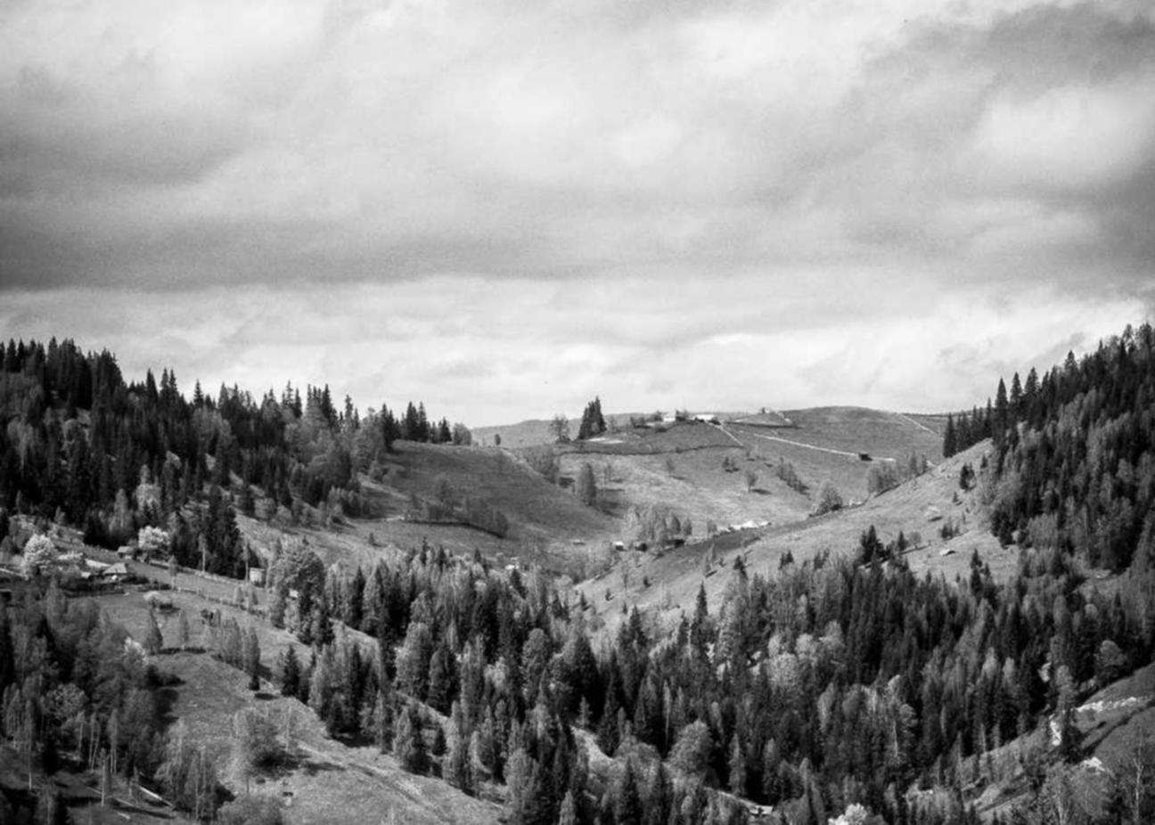 阿凡提哈密瓜:未央代理企业注册