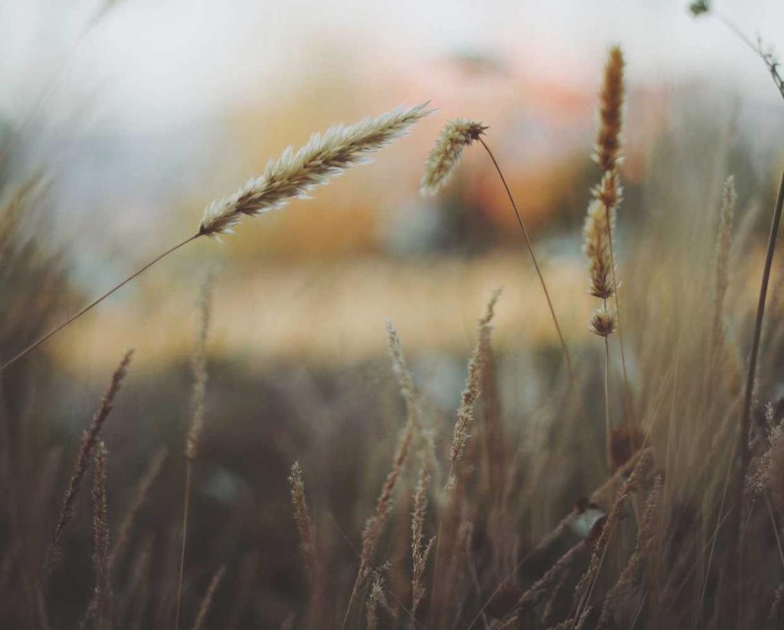 DDOS压力测试网页端|自媒体平台做代理