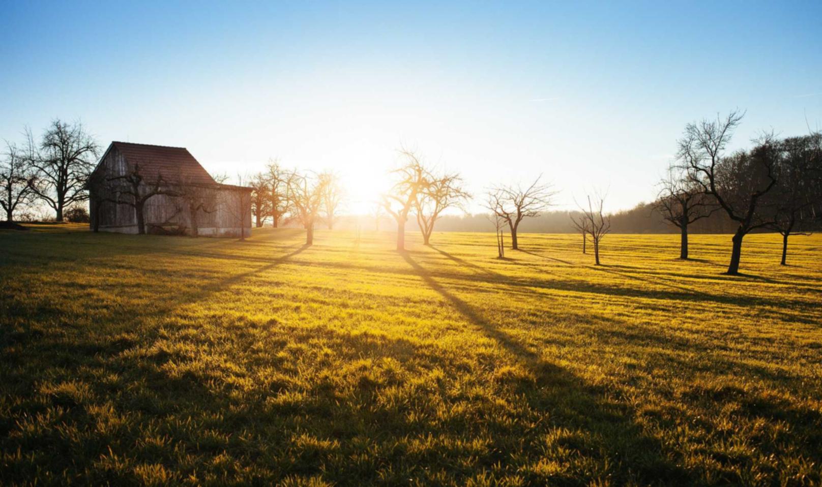 微信号批发市场:建德注册代理记账公司条件