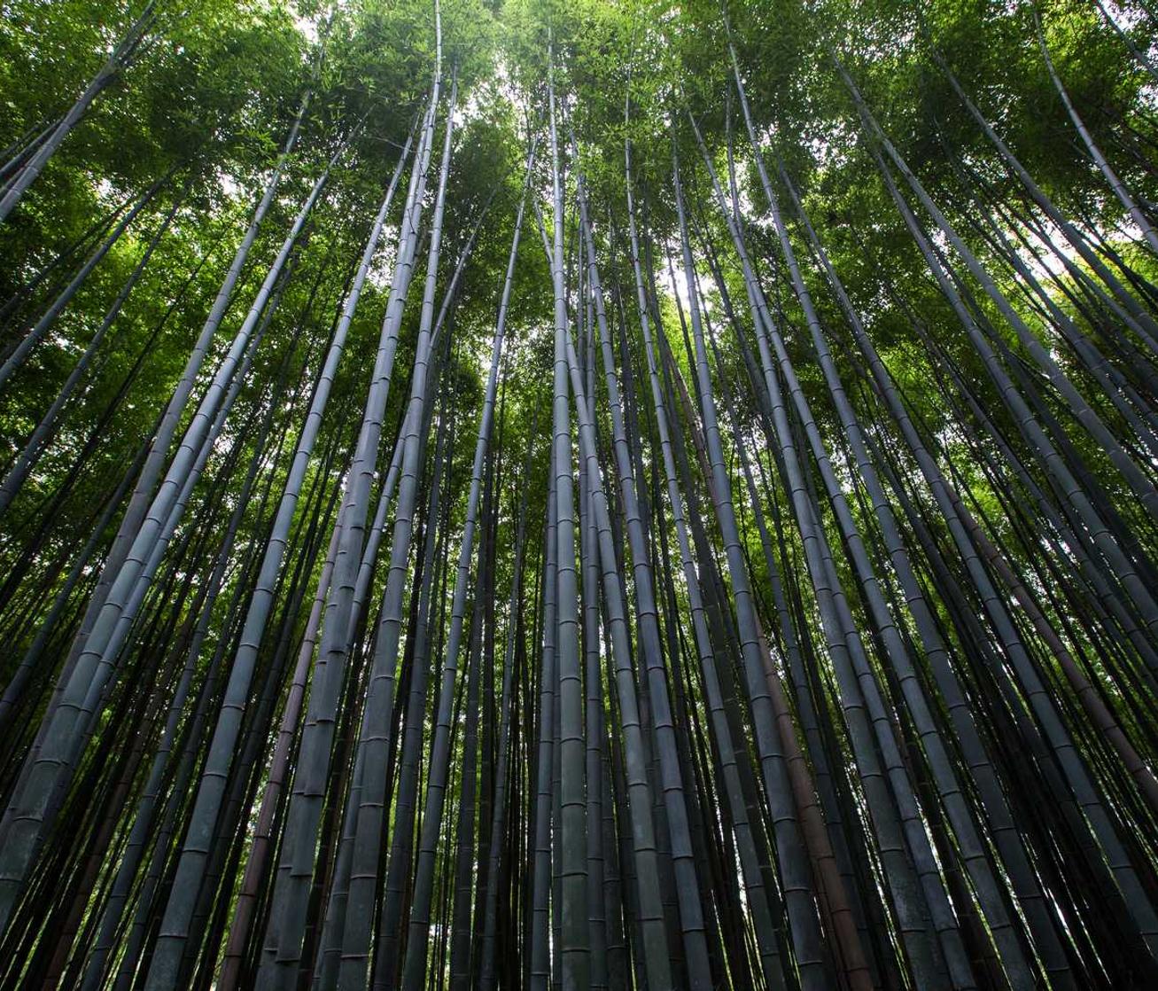 解读DDOS每小时攻击- 阅读app详情下载教程3.0