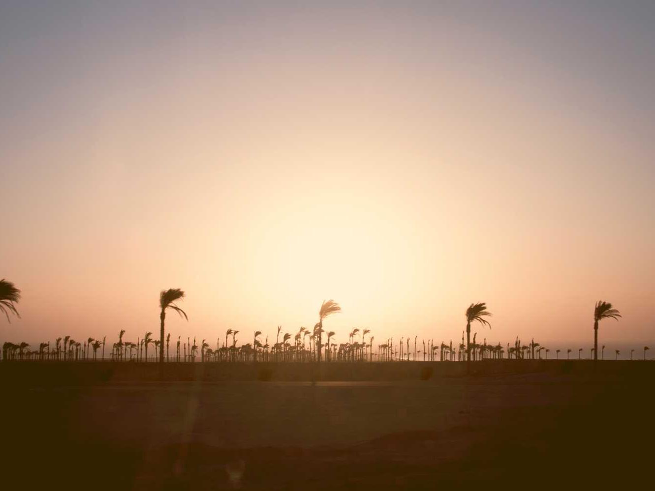 飞网ip实名账号:济宁手机卡购买平台官网