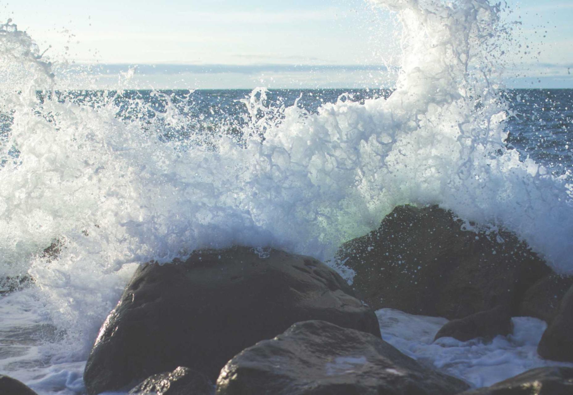 猎聘实名账号:尔雅app详情下载教程