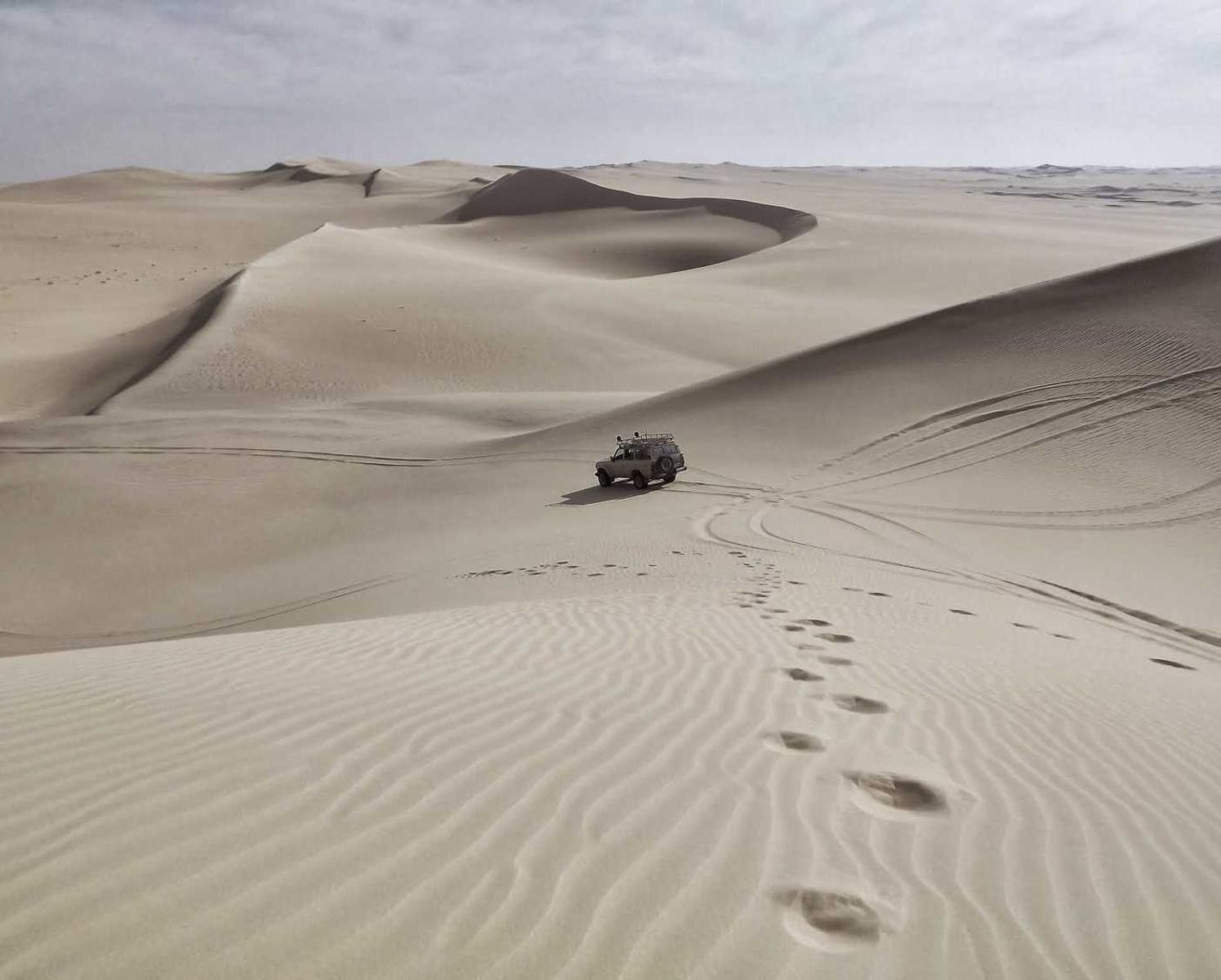 合乐哪个平台购买商品