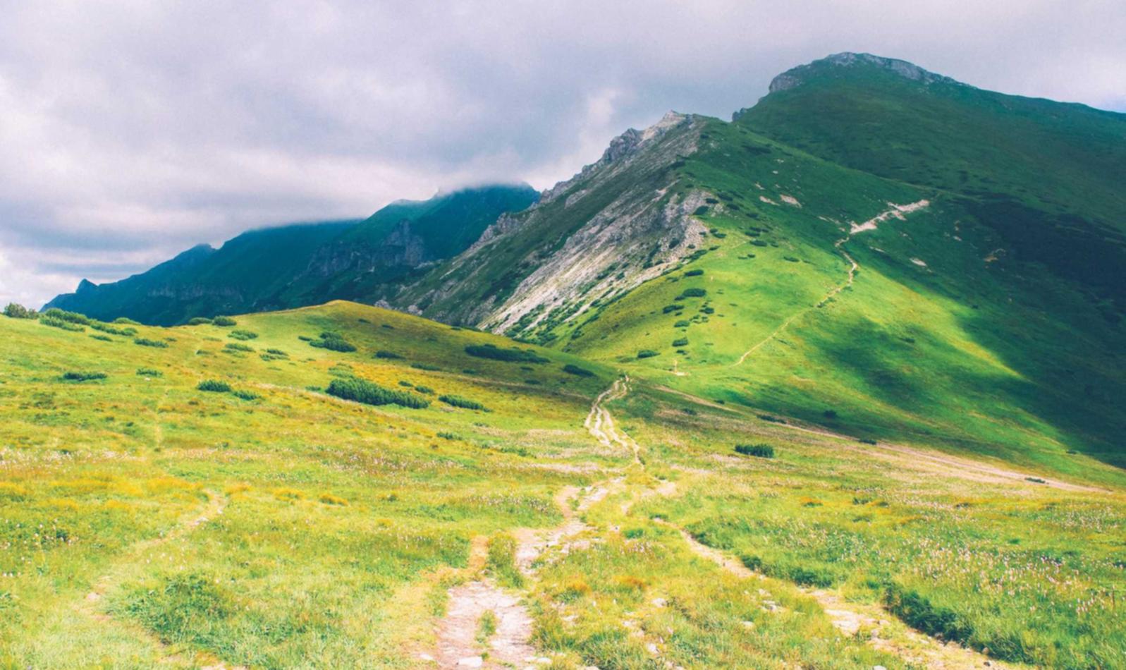 华纳云实名账号:诚信代理记账平台