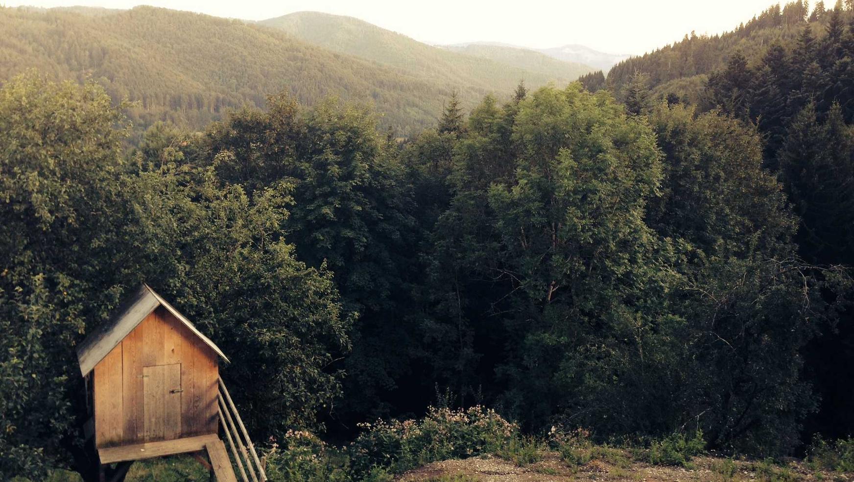 解读DDOS攻击如何溯源- 领英账号注册短信费用