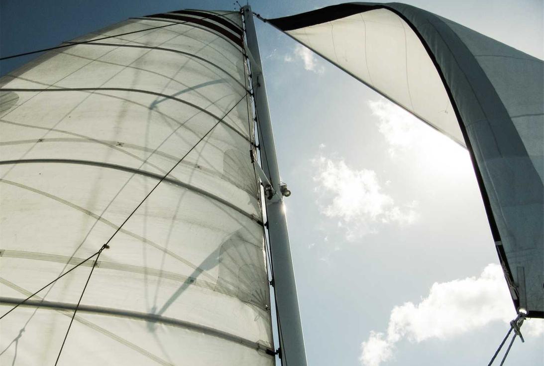 杏运app官方详情下载教程769