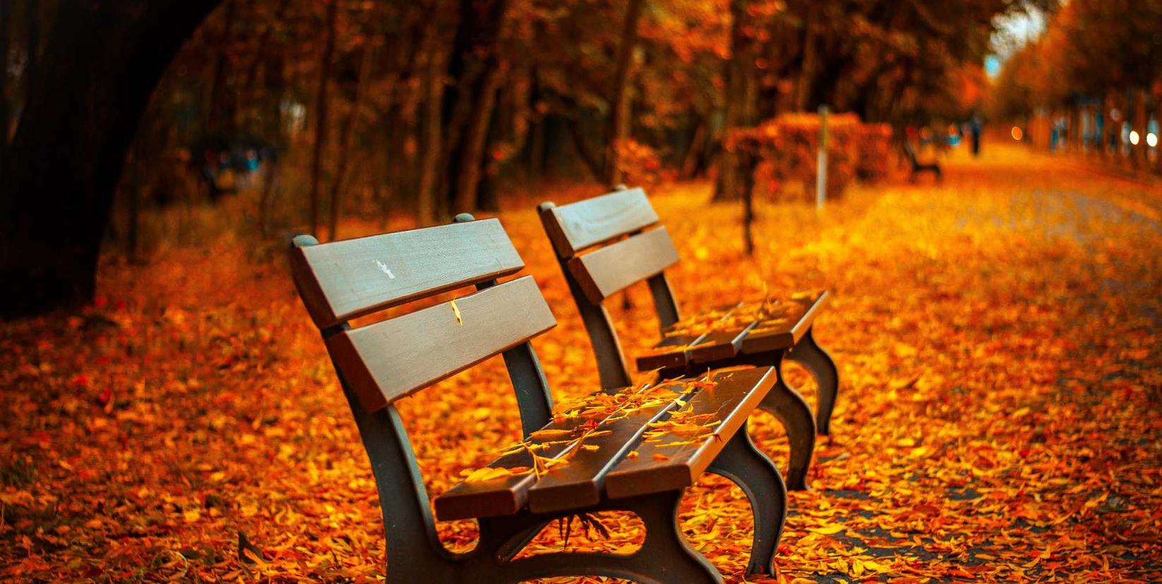 京东通信实名账号：北京配送平台代理授权