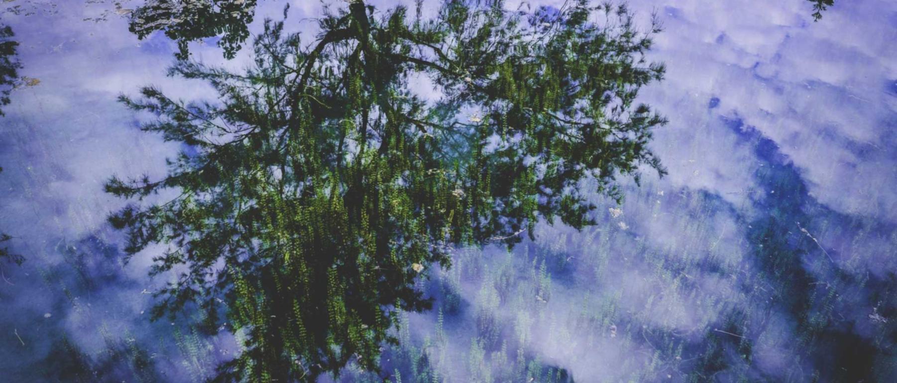 网络安全挑战：全面了解DDoS攻击的威胁