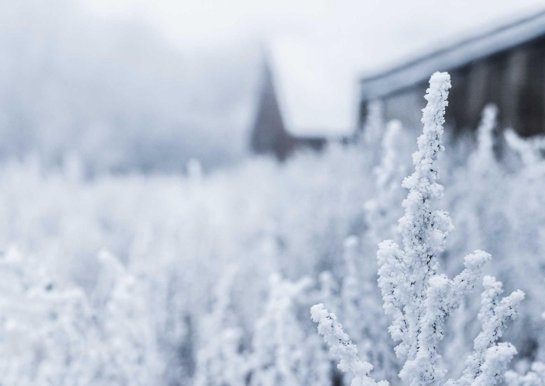 如何使用网页标题来提高点击率