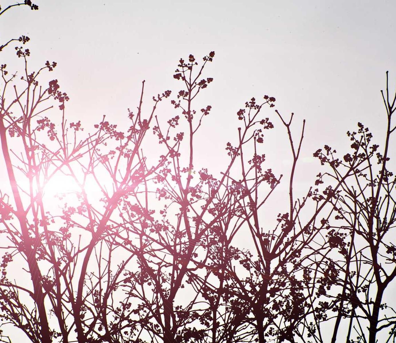 青年一派实名账号:丽水宠物购买平台