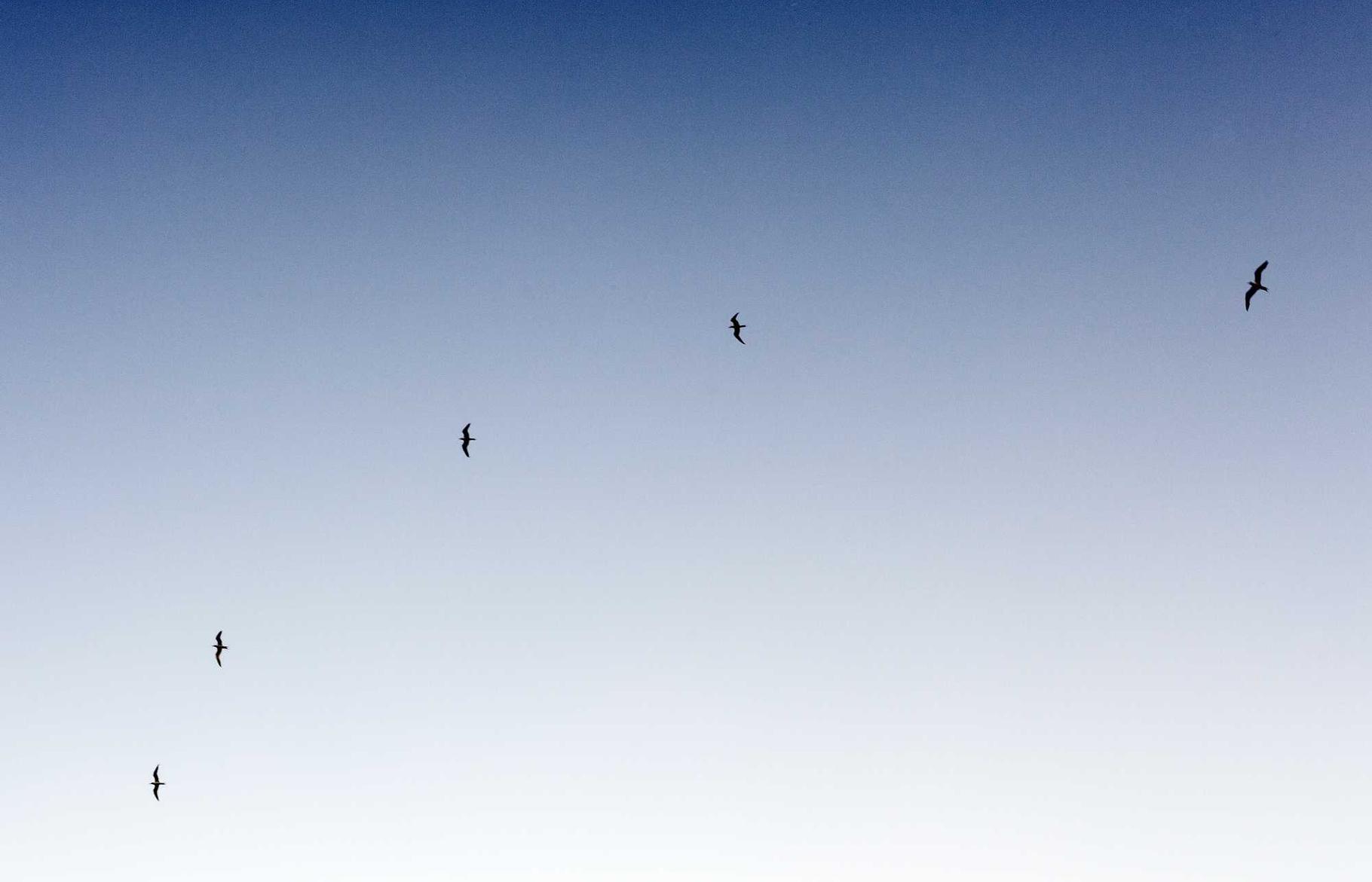 不封号电销卡：训练大师怎么注册新账号