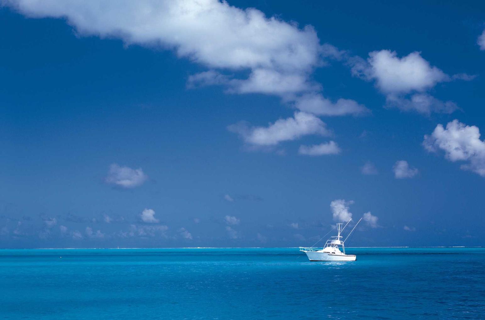 简信实名账号：详情下载教程党建云app