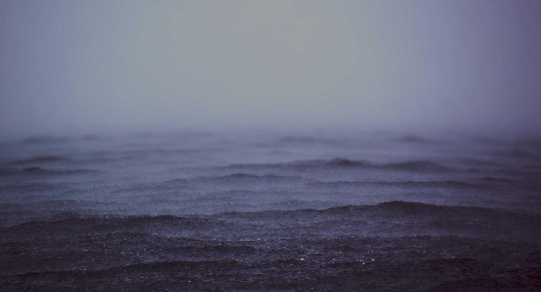 咖啡黄沉香(细):加油打折代理平台