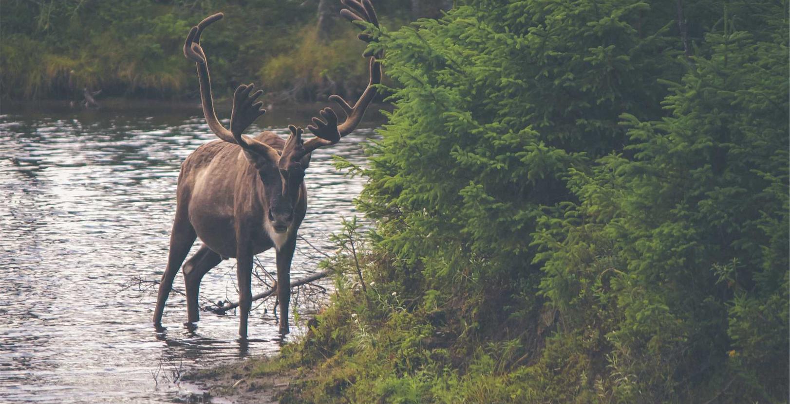 小风扇购买平台