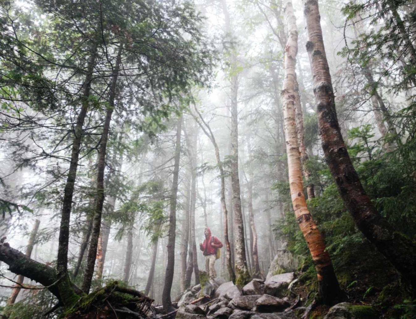 神机代理注册公司教程视频
